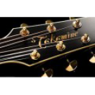 TAKAMINE