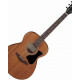 ΚΙΘΑΡΑ ΑΚΟΥΣΤΙΚΗ IBANEZ PC-12MH OPN
