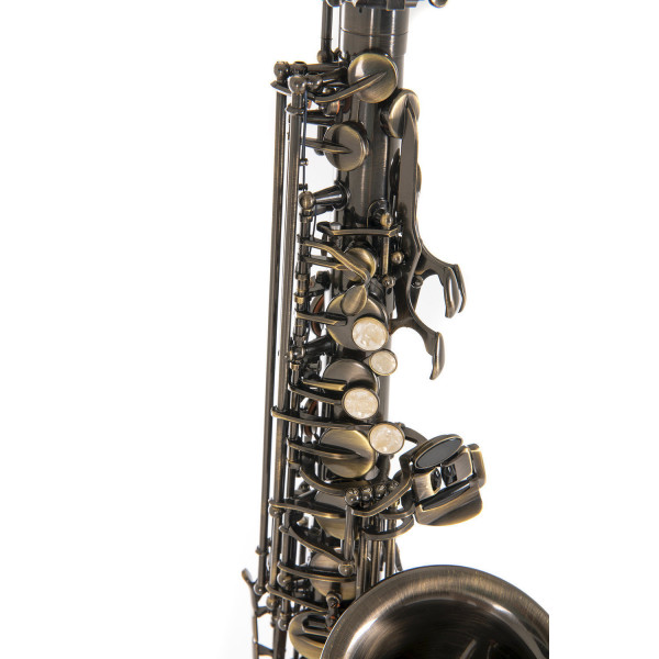 ΣΑΞΟΦΩΝΟ ROY BENSON ALTO Eb AS-202A