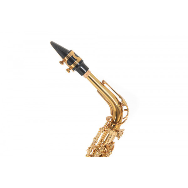 ΣΑΞΟΦΩΝΟ ROY BENSON ALTO Eb AS-302