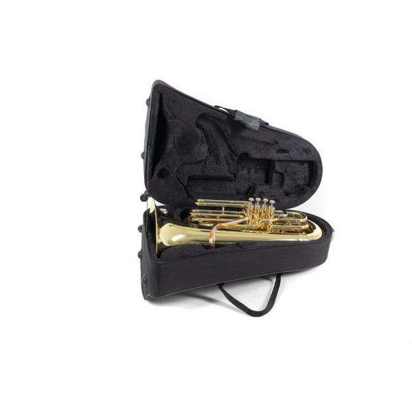 ΤΟΥΜΠΑ ROY BENSON BBb TB-312B