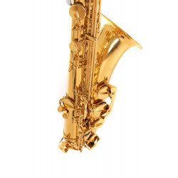 ΣΑΞΟΦΩΝΟ ROY BENSON TENOR Bb TS-202