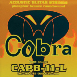 ΧΟΡΔΕΣ ΣΕΤ ΑΚΟΥΣΤΙΚΗΣ COBRA 011