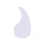 PICKGUARD DADDI WHITE