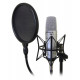 POP FILTER ON STAGE MICROPHONE
