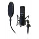 POP FILTER ON STAGE MICROPHONE