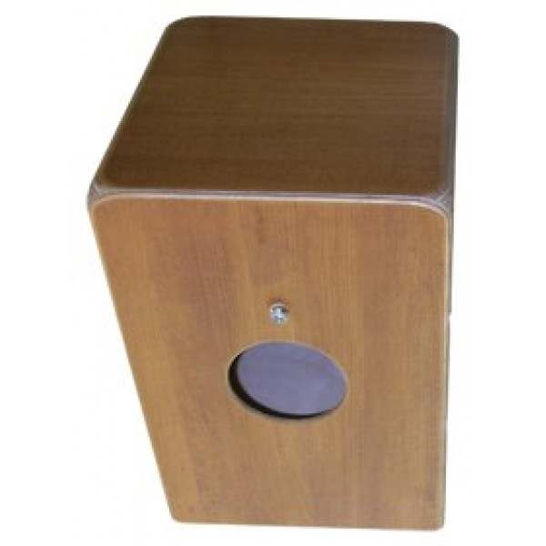 ΜΑΓΝΗΤΗΣ-ΜΙΚΡΟΦΩΝΟ TAP CAJ-MP ΓΙΑ CAJON