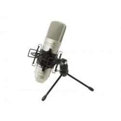 ΜΙΚΡΟΦΩΝΟ TASCAM TM-80