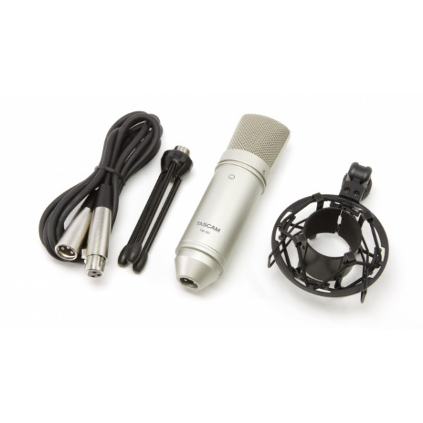 ΜΙΚΡΟΦΩΝΟ TASCAM TM-80