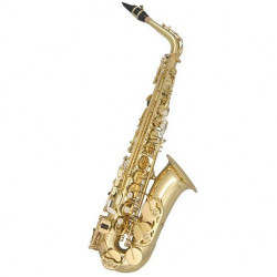 ΣΑΞΟΦΩΝΟ TREVOR JAMES 37SC-A169B  ALTO GOLD
