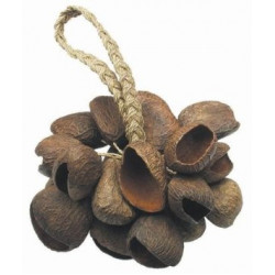 ΑΦΡΙΚΑΝΙΚΟ ΚΡΟΥΣΤΟ TOCA T-SS COCONUT SHAKER 804444